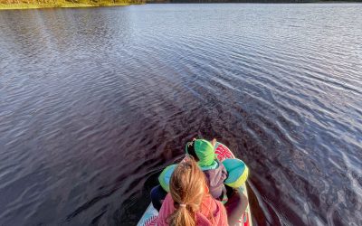 Die Magie Schwedens – Warum die unberührte Natur und das Leben im Wohnmobil uns verändert haben