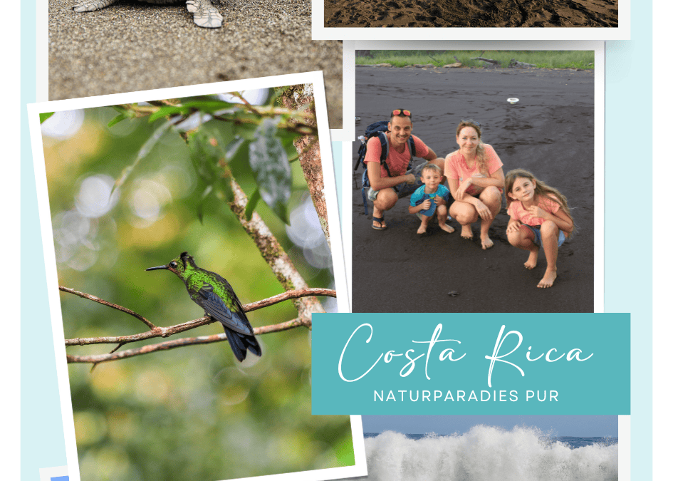 Costa Rica erleben – Highlights, Strände & praktische Tipps für Familien
