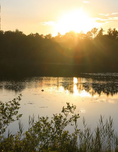 Licht am Abend in Schweden