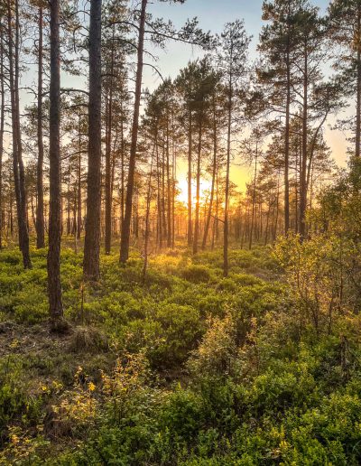 Licht in Schweden