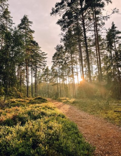 Sonnenlicht Schweden