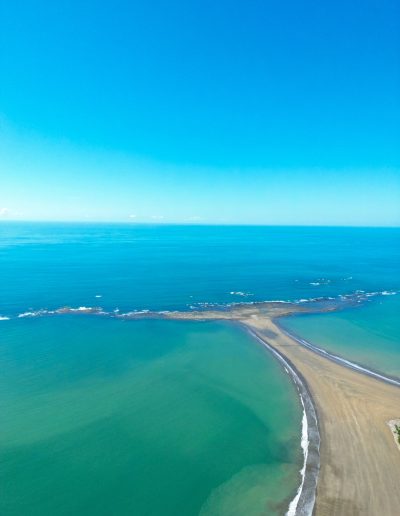 Walflosse Marino Ballena