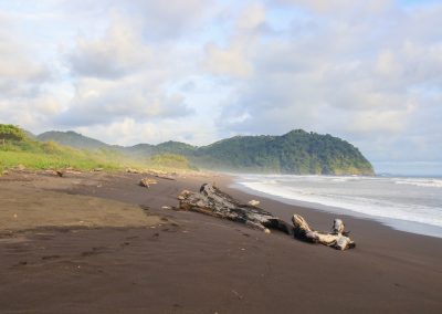 Naturstrand Costa Rica