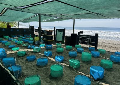 Schildkrötenschutzstation