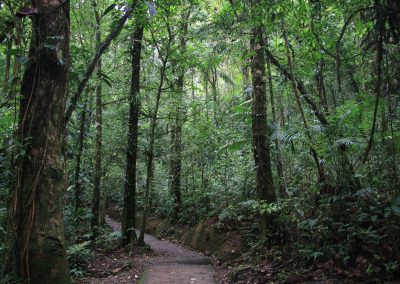Tenorio Nationalpark